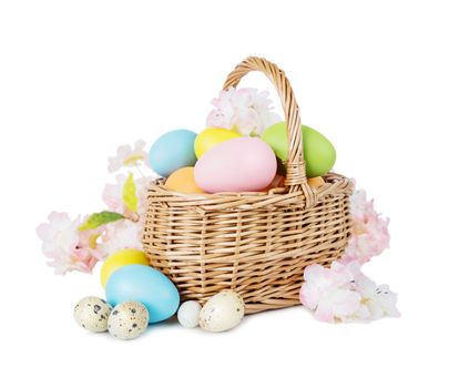 Wicker basket with pink, blue, yellow and green Easter eggs as well as with cherry flowers isolated on white background