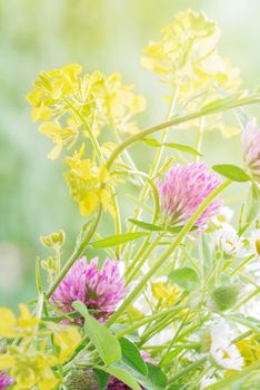 Bouquet of different yellow, pink and white wild flowers closeup outdoors