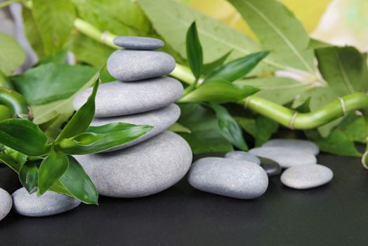 Spa concept with gray basalt massage stones and lush green foliage on a black background