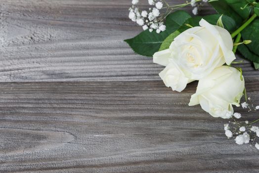 Bouquet of white rose flowers lay on the gray background of old wooden boards, with space for text