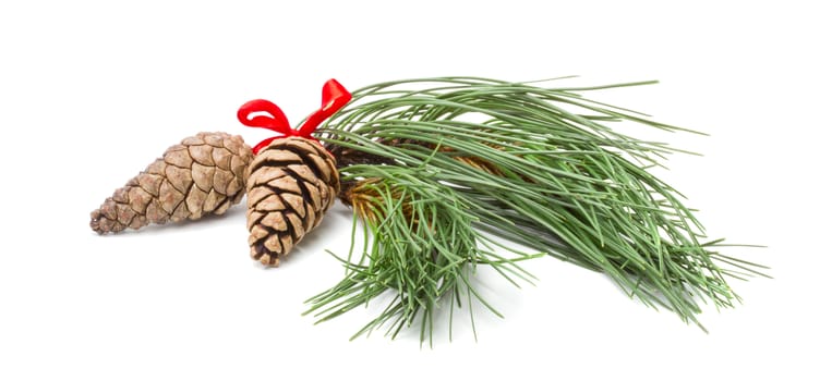 Christmas Pine Branches with Two Cones on white Background