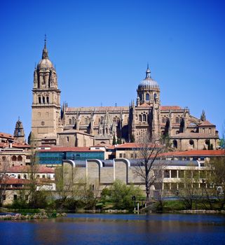 New Cathedral In Salamanca against Blue Sky Outdoors. Castile and Leon, Spain