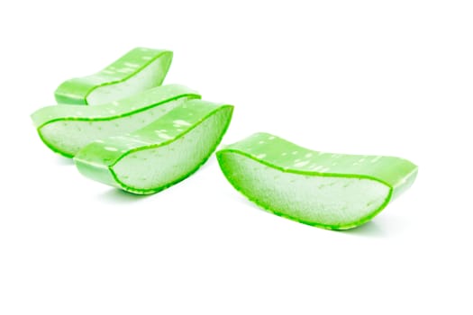 Closeup fresh aloe vera  on white background, beauty and healthy care concept