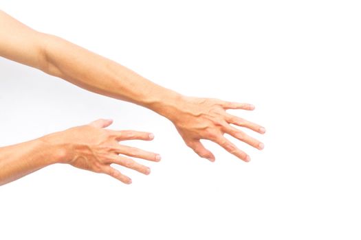 Man back hand with blood veins on white background