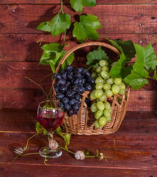Grapes, red wine and vine on a wooden table