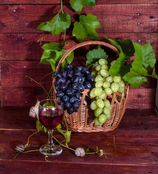 Grapes, red wine and vine on a wooden table