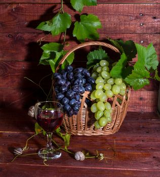 Grapes, red wine and vine on a wooden table