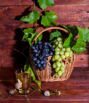 grape juice in a glass on a table with grapes and vine