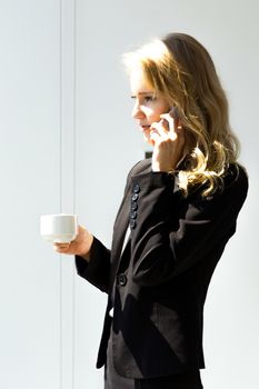 Young businesswoman with folder talking on mobile phone with client standing near office window