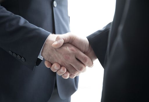 Two businessmen shaking hands standing by windows in office