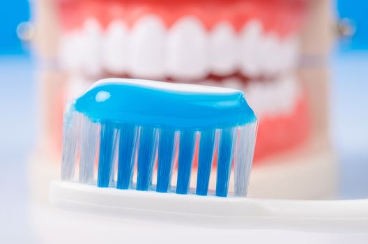 Toothpaste in toothbrush on denture background.