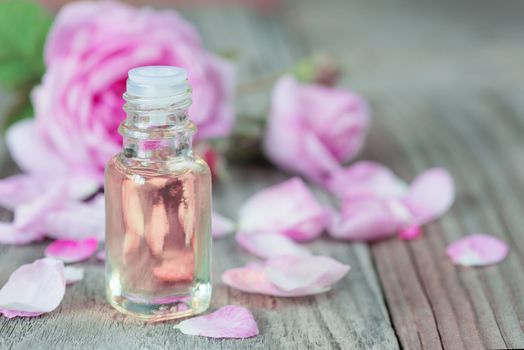 Glass vial with rose essential oil and flower of pink rose on a wooden background