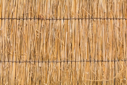detail of Japanese thatched roof texture background