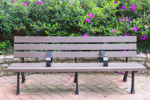 bench in park with flower background