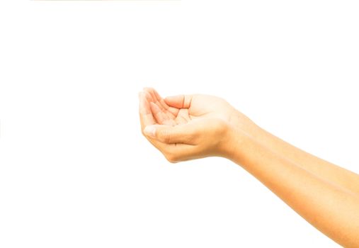 Woman hands praying on white background, religion concept