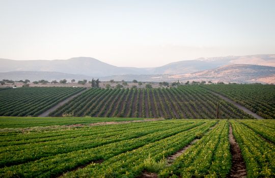 Galilee mountains agricultural valley settlement, Golan , North of Israel .