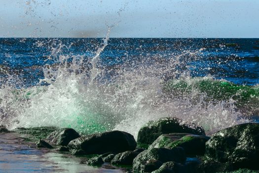Summer ocean beach with green waves at sunny day