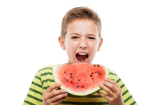 Handsome smiling child boy hand holding red ripe watermelon fruit food slice white isolated