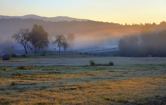 Mystic foggy landscape at sunrise