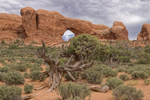 Arches of red rock. Arches National Park, Moab, United States of America. Geologic Formations