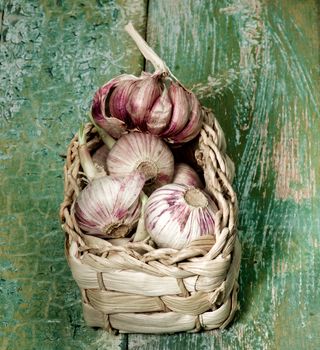 Heap of Fresh Pink Garlic with Green Stems in Wicker Basket closeup on Green Cracked Wooden background