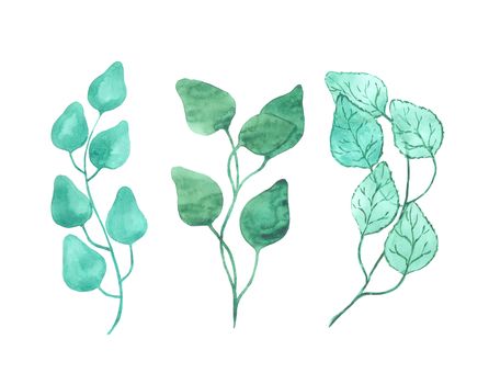 Bright watercolor leaf isolated on easy for cut white background