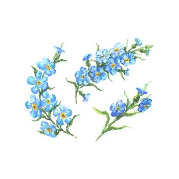 Bright watercolor flower with leaf isolated on easy for cut white background