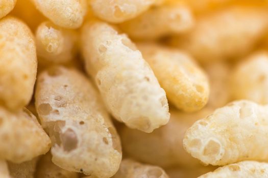 Cereal - This is a macro shot of breakfast cereal. Shot with a shallow depth of field.