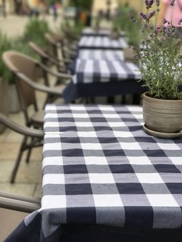 Table with flower pot in a cozy cafe outside