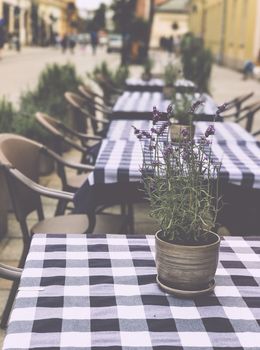 Table with flower pot in a cozy cafe outside