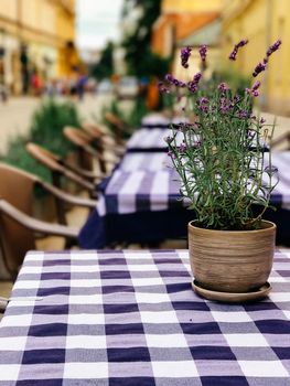 Table with flower pot in a cozy cafe outside