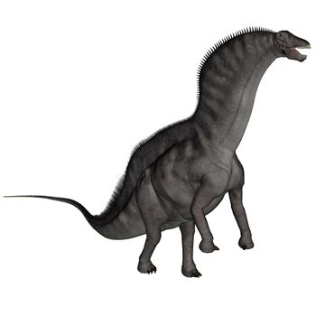 Amargasaurus dinosaur standing up isolated in white background - 3D render