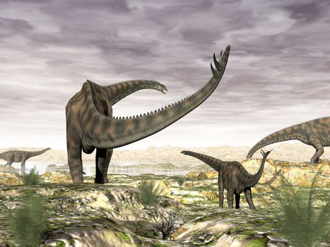 Spinophorosaurus dinosaurs herd going to drink by sunset - 3D render