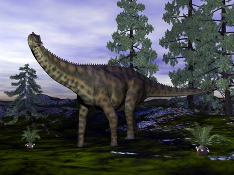 Spinophorosaurus dinosaurnext to wollemia pine trees - 3D render