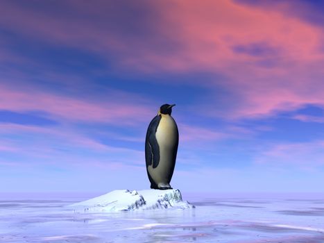 Single emperor penguin standing on an iceberg by sunset - 3D render