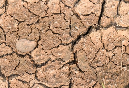 Cracked earth in sumer season