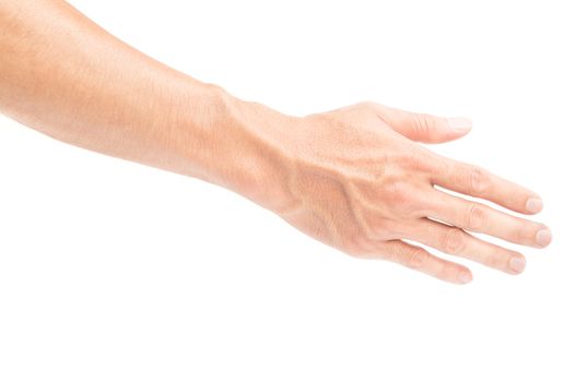 Man back hand with blood veins on white background, health care concept