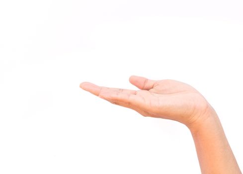 Woman hands praying on white background, religion concept
