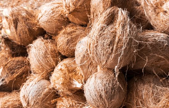 Coconut group raw material for make food and drink, topical fruit