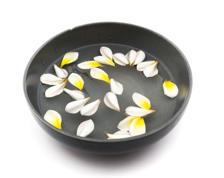 Plumeria on water for spa and AromaTherpy