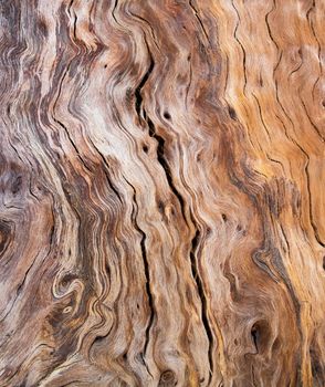 Old wood texture abstract background