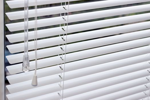 Fragment of the white Venetian blinds with lift cord and turning rod of a manual control on a foreground
