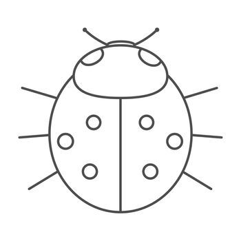 Lady-bird or lineart ladybug isolated on light background . Cartoon illustration.