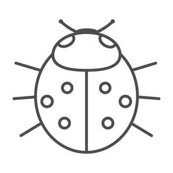 Lady-bird or lineart ladybug isolated on light background . Cartoon illustration.