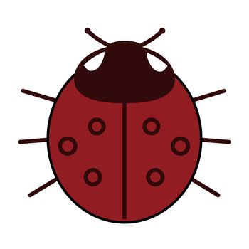 Lady-bird or red ladybug isolated on light background . Cartoon illustration.