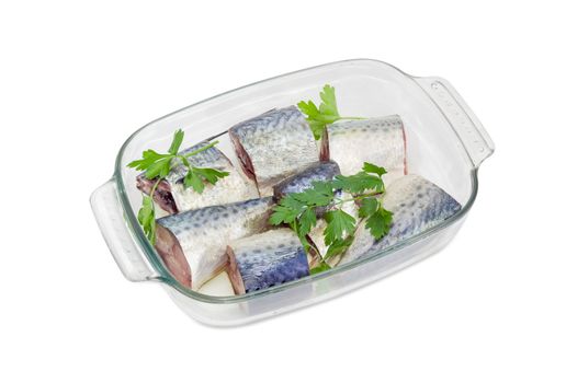 Pickled pieces of Atlantic chub mackerel prepared for baking and parsley twigs in the rectangular glass for baking on a white background
