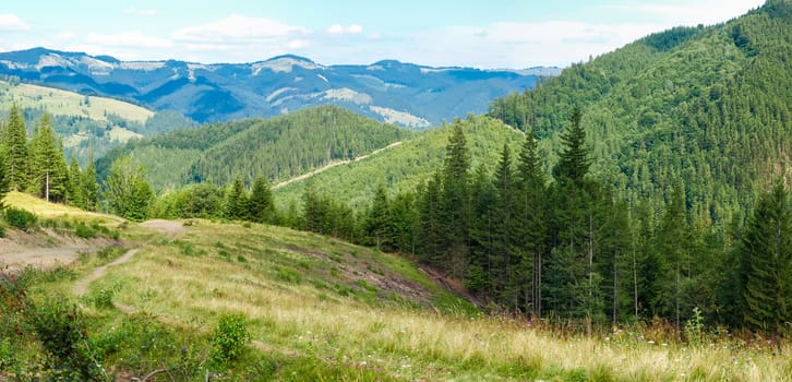 Panorama of Carpathian mountains with mountain slopes overgrown with forest and glade in the foreground

