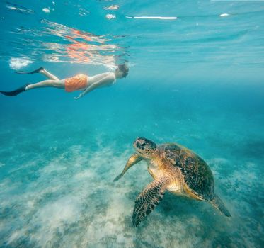Young boy snorkel swim with big adult green sea turtle (chelonia mydas) in exotic tropics paradise. Marsa Alam, Egypt. Summer holiday vacation concept