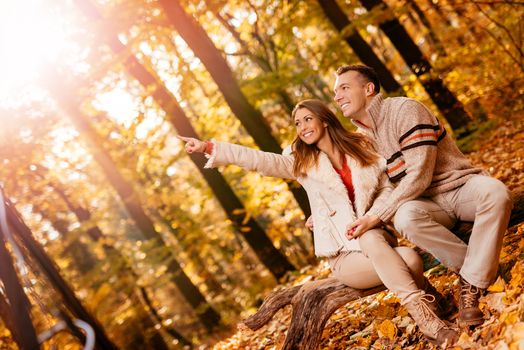 Beautiful smiling couple enjoying in sunny forest in autumn colors.