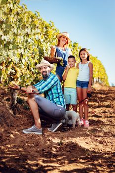 Beautiful young smiling family of four with dog at a vineyard. Looking at camera.